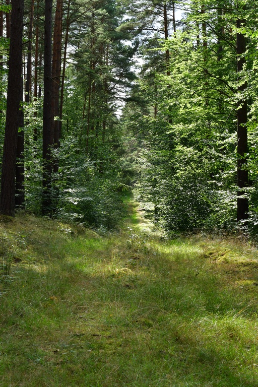 2020-08-23 Fürstenberg/DSC_5196.JPG